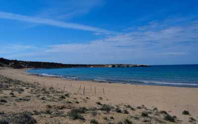 Wycieczka na plażę Lara Beach i kanion Avakas z Pafos